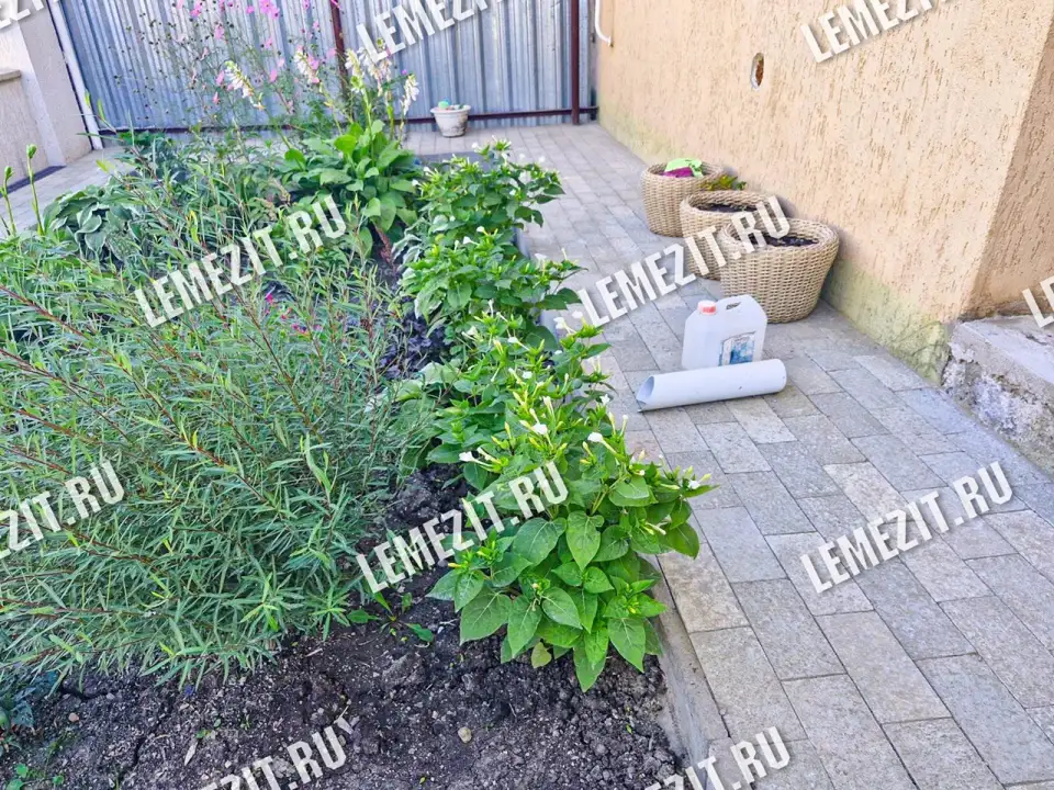 укладка серо-зелёной пиленой брусчатки из лемезита 10х20 см